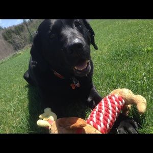 Meet your Posher, Sierra